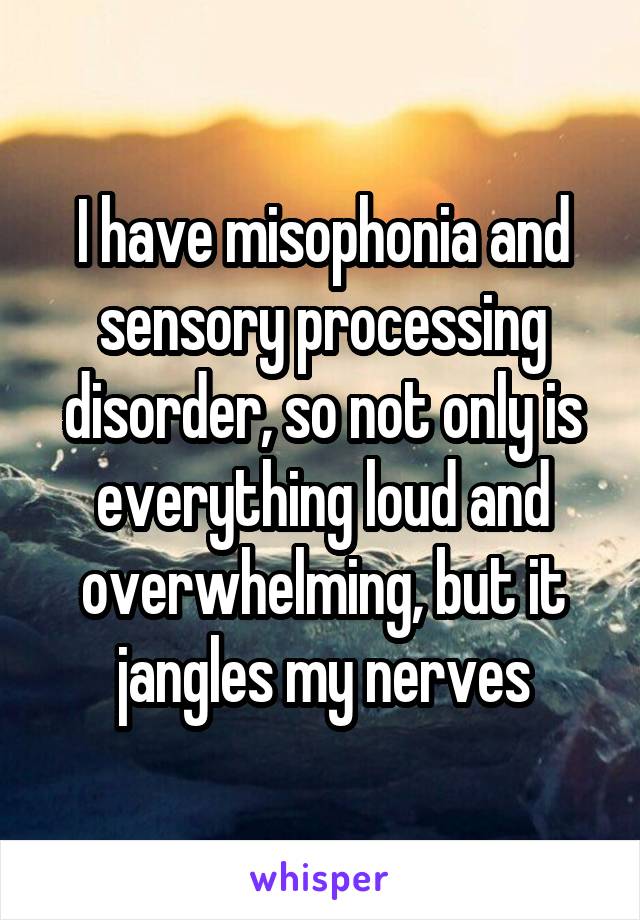 I have misophonia and sensory processing disorder, so not only is everything loud and overwhelming, but it jangles my nerves