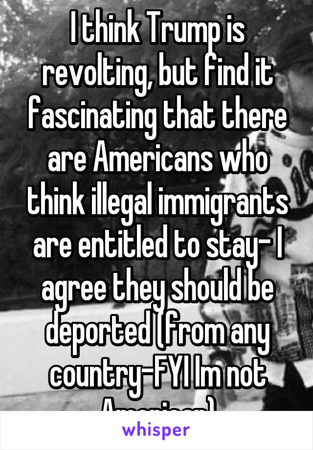 I think Trump is revolting, but find it fascinating that there are Americans who think illegal immigrants are entitled to stay- I agree they should be deported (from any country-FYI Im not American)