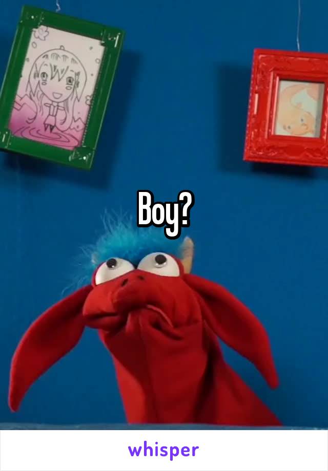 Boy?
