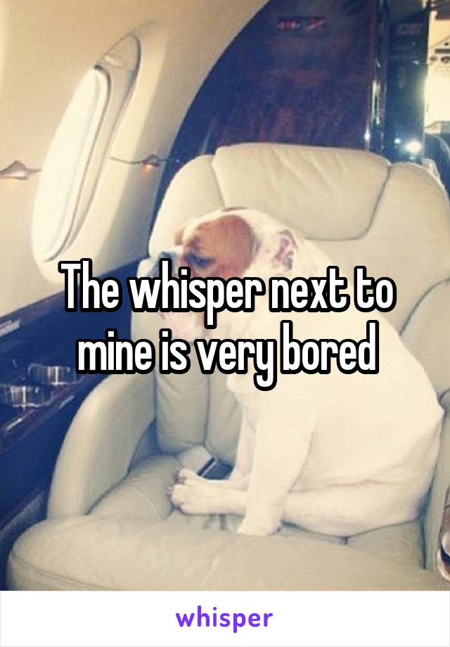 The whisper next to mine is very bored