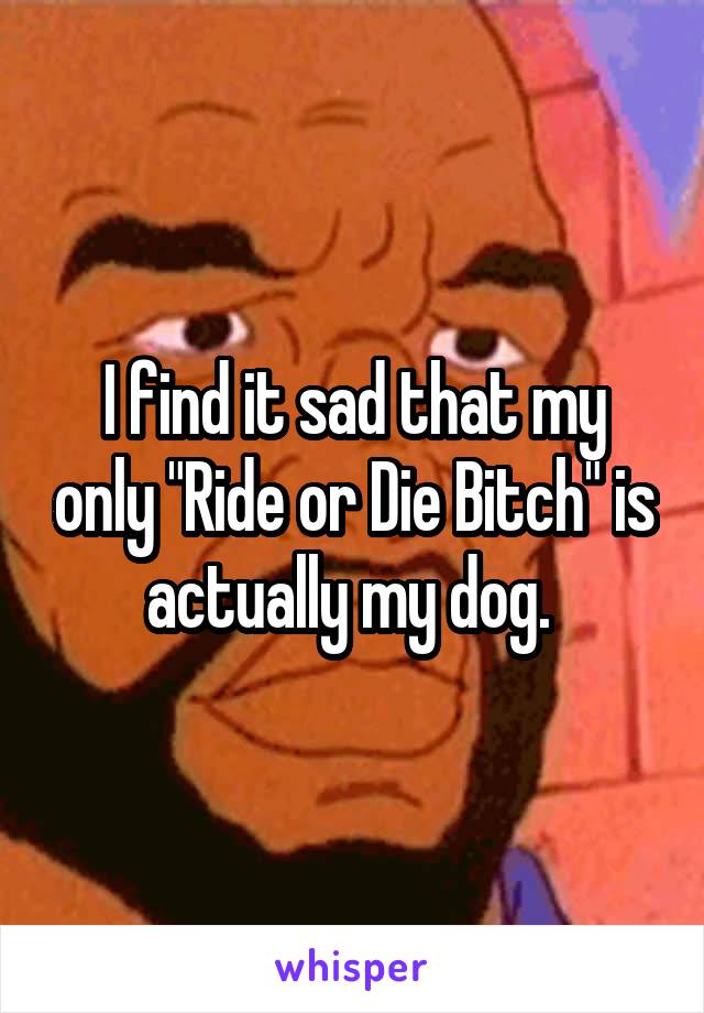 I find it sad that my only "Ride or Die Bitch" is actually my dog. 