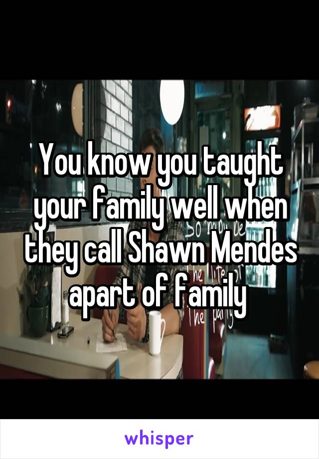 You know you taught your family well when they call Shawn Mendes apart of family 