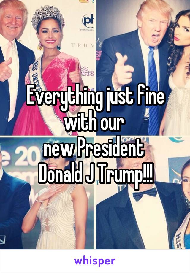 Everything just fine with our 
new President 
Donald J Trump!!!