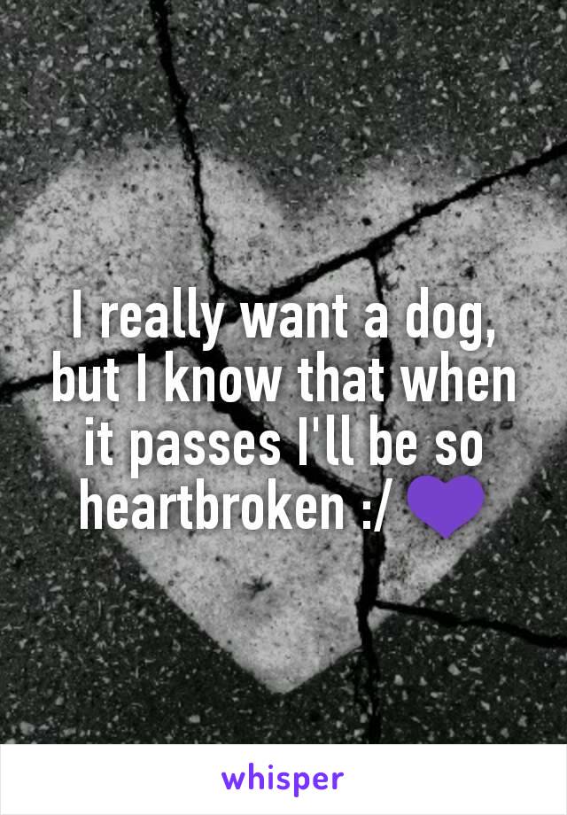 I really want a dog, but I know that when it passes I'll be so heartbroken :/ 💜