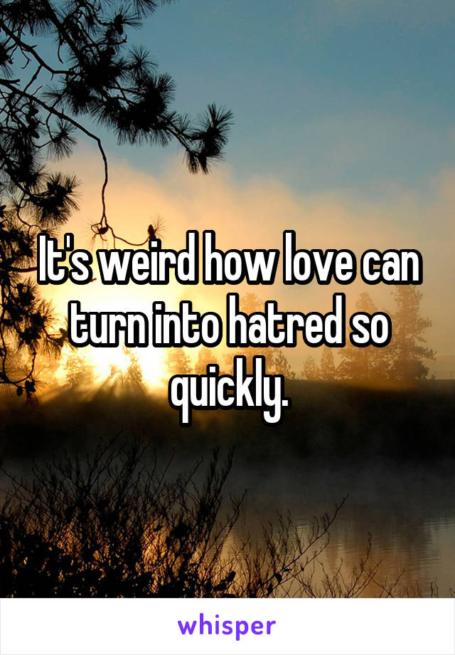 It's weird how love can turn into hatred so quickly.