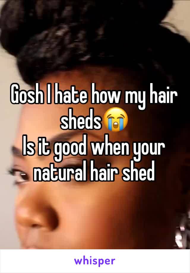 Gosh I hate how my hair sheds😭
Is it good when your natural hair shed