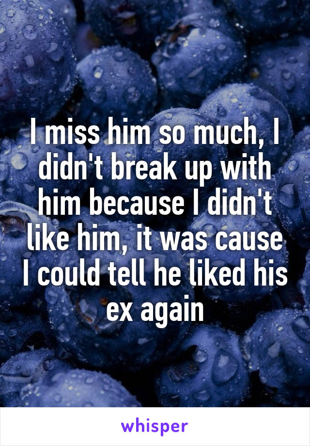 I miss him so much, I didn't break up with him because I didn't like him, it was cause I could tell he liked his ex again