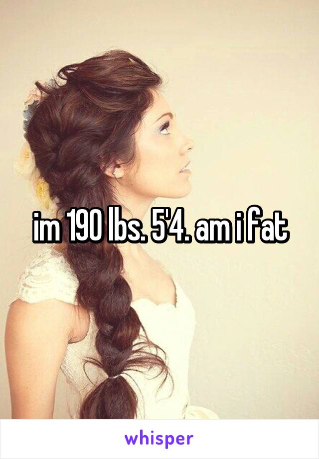 im 190 lbs. 5'4. am i fat