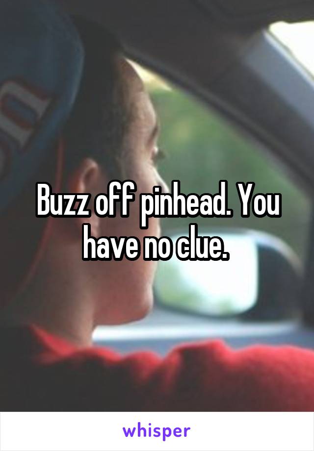 Buzz off pinhead. You have no clue. 