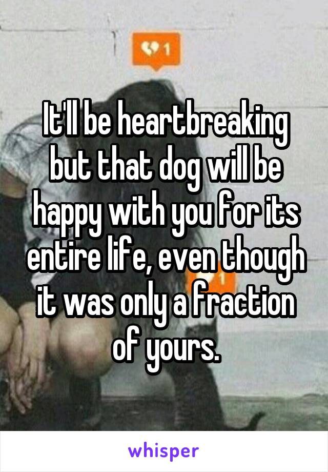 It'll be heartbreaking but that dog will be happy with you for its entire life, even though it was only a fraction of yours.