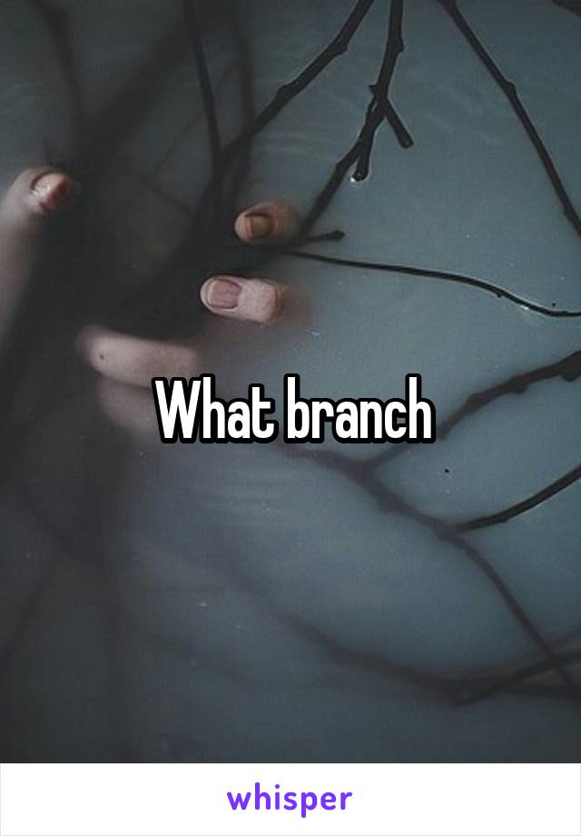 What branch