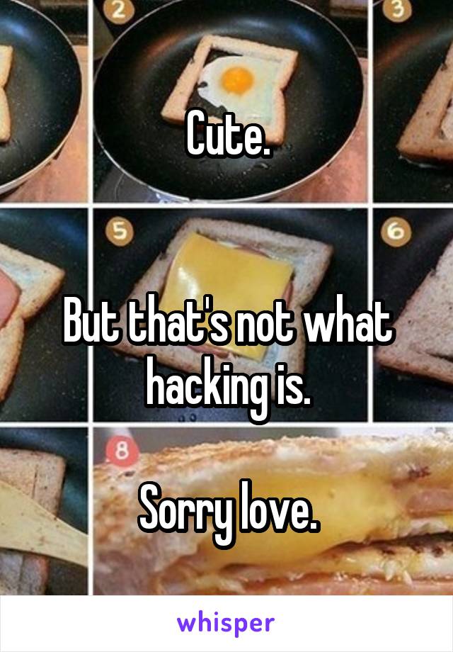 Cute.


But that's not what hacking is.

Sorry love.