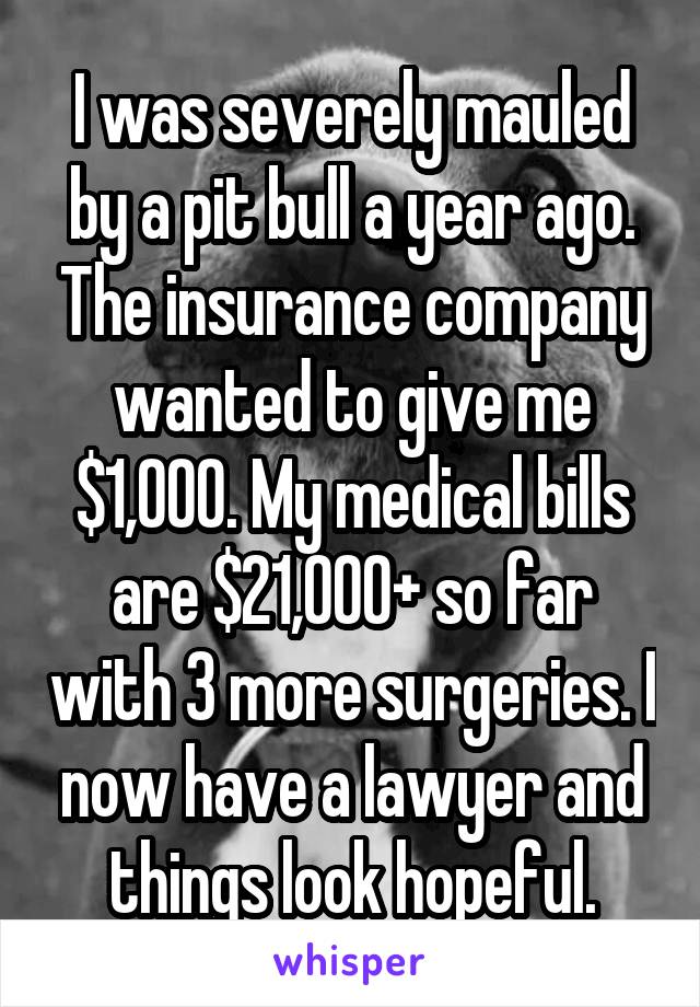 I was severely mauled by a pit bull a year ago. The insurance company wanted to give me $1,000. My medical bills are $21,000+ so far with 3 more surgeries. I now have a lawyer and things look hopeful.