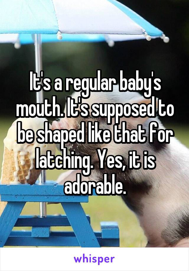 It's a regular baby's mouth. It's supposed to be shaped like that for latching. Yes, it is adorable.