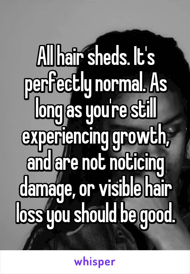All hair sheds. It's perfectly normal. As long as you're still experiencing growth, and are not noticing damage, or visible hair loss you should be good.