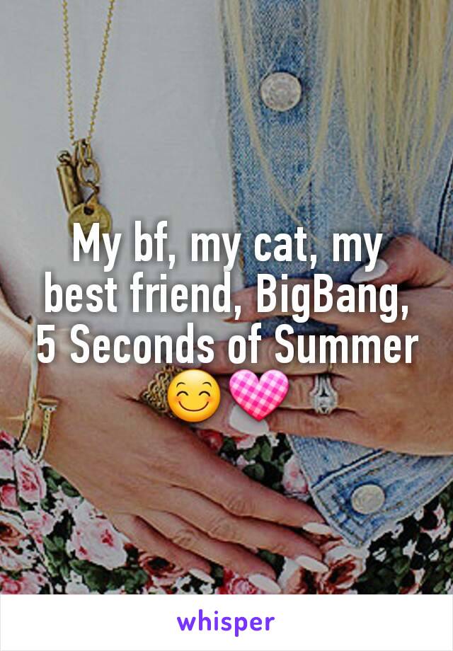 My bf, my cat, my best friend, BigBang, 5 Seconds of Summer 😊💟