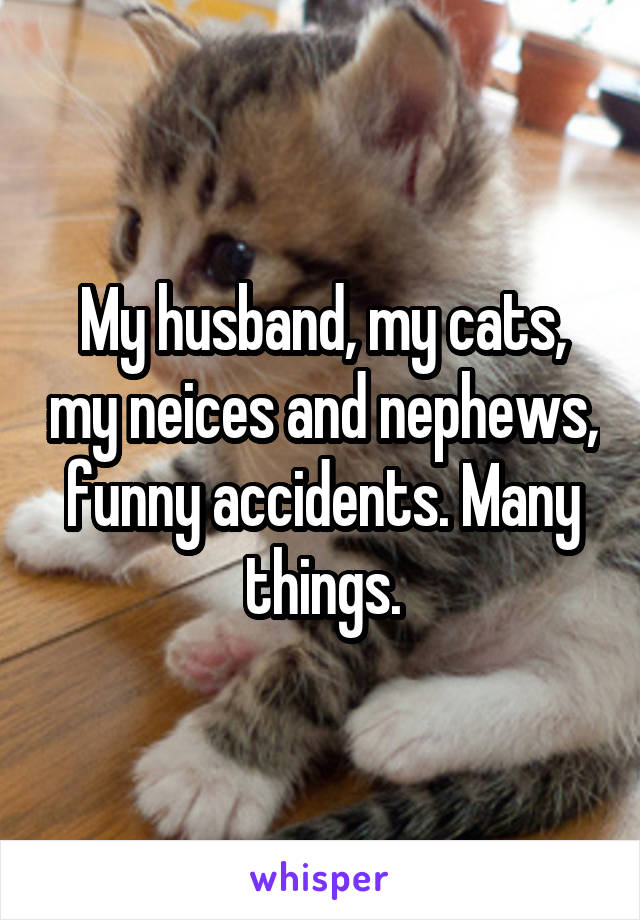 My husband, my cats, my neices and nephews, funny accidents. Many things.