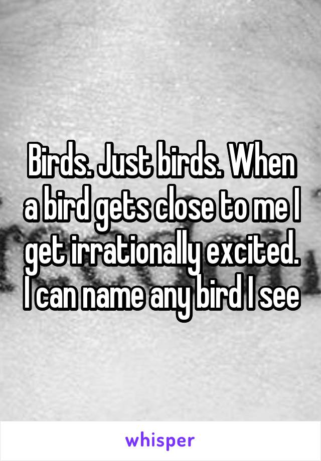 Birds. Just birds. When a bird gets close to me I get irrationally excited. I can name any bird I see