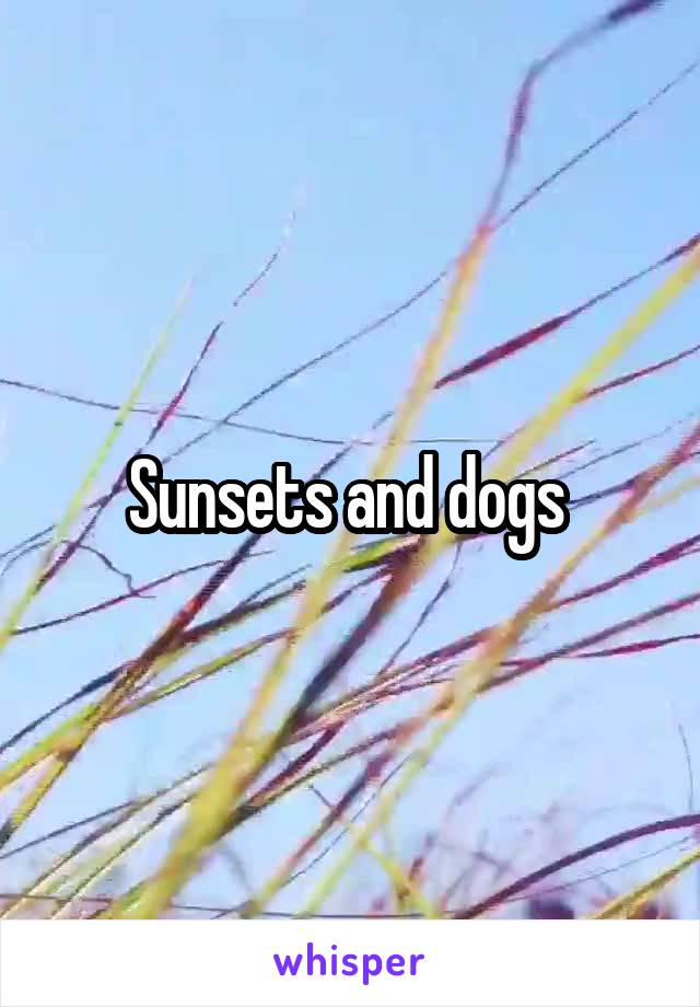 Sunsets and dogs 