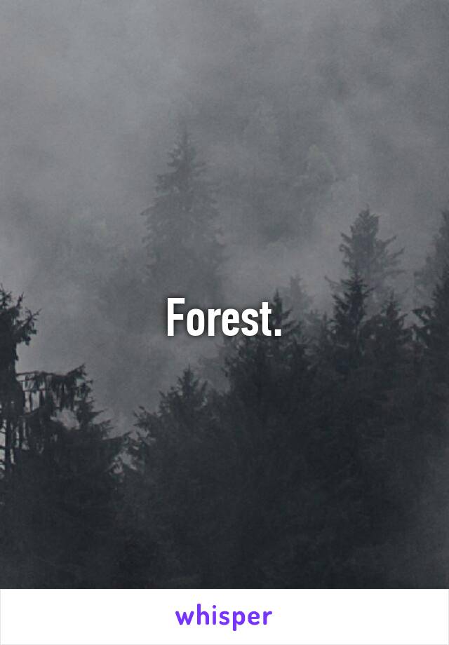 Forest.