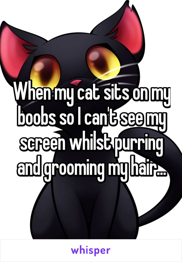 When my cat sits on my boobs so I can't see my screen whilst purring and grooming my hair...