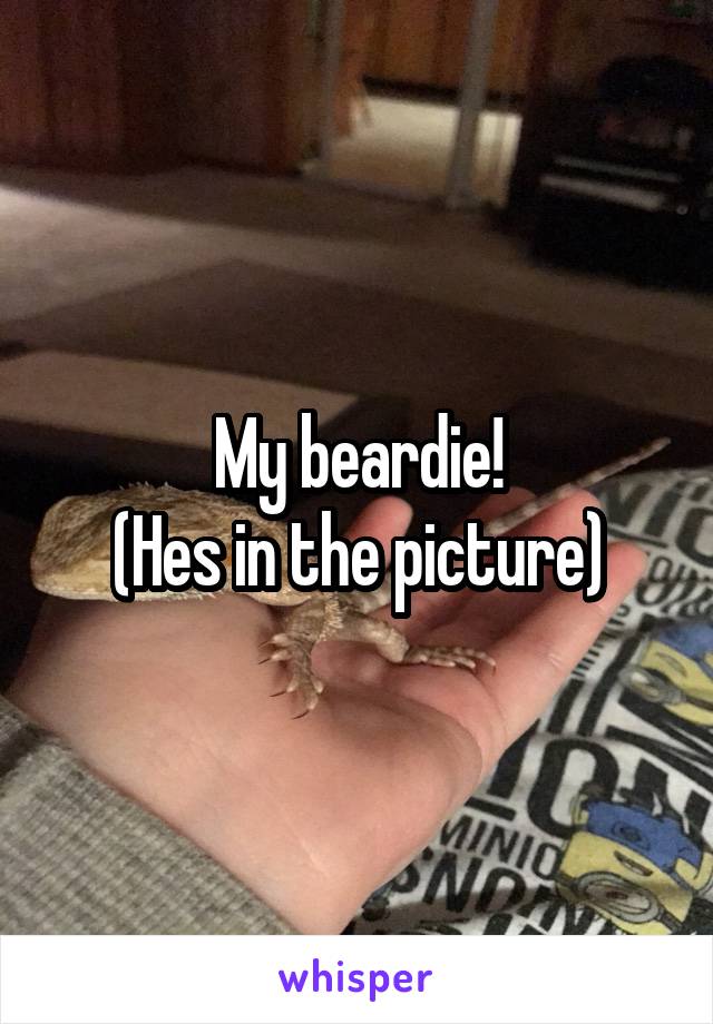 My beardie!
(Hes in the picture)