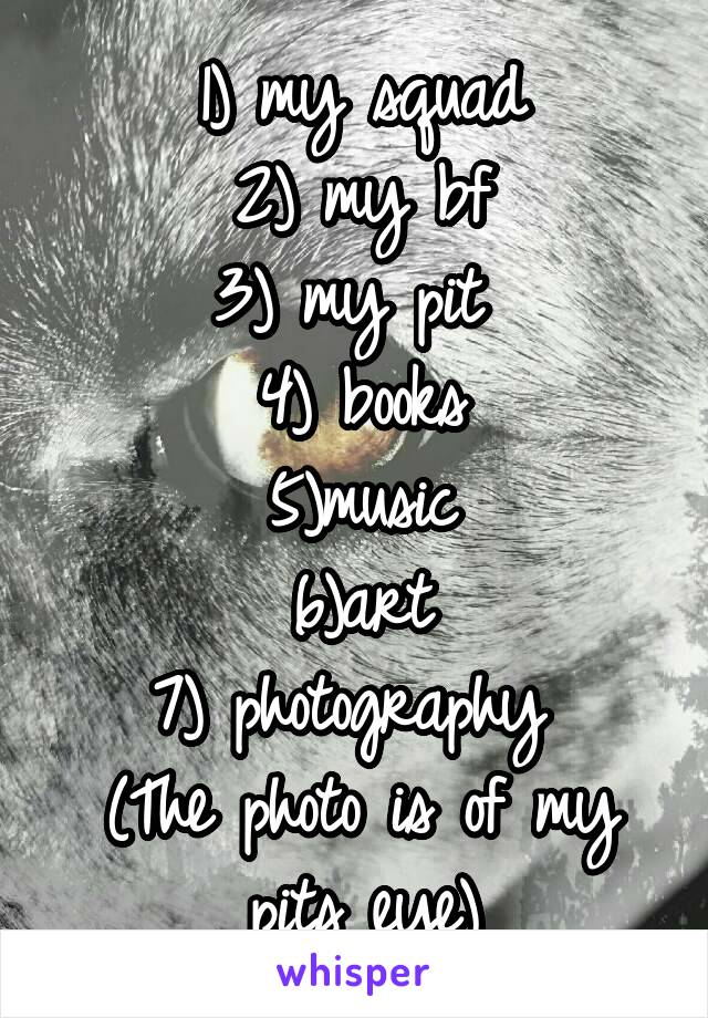 1) my squad
2) my bf
3) my pit 
4) books
5)music
6)art
7) photography 
(The photo is of my pits eye)