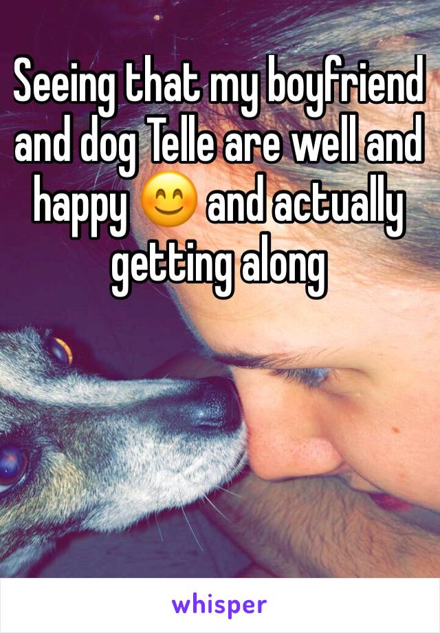 Seeing that my boyfriend and dog Telle are well and happy 😊 and actually getting along