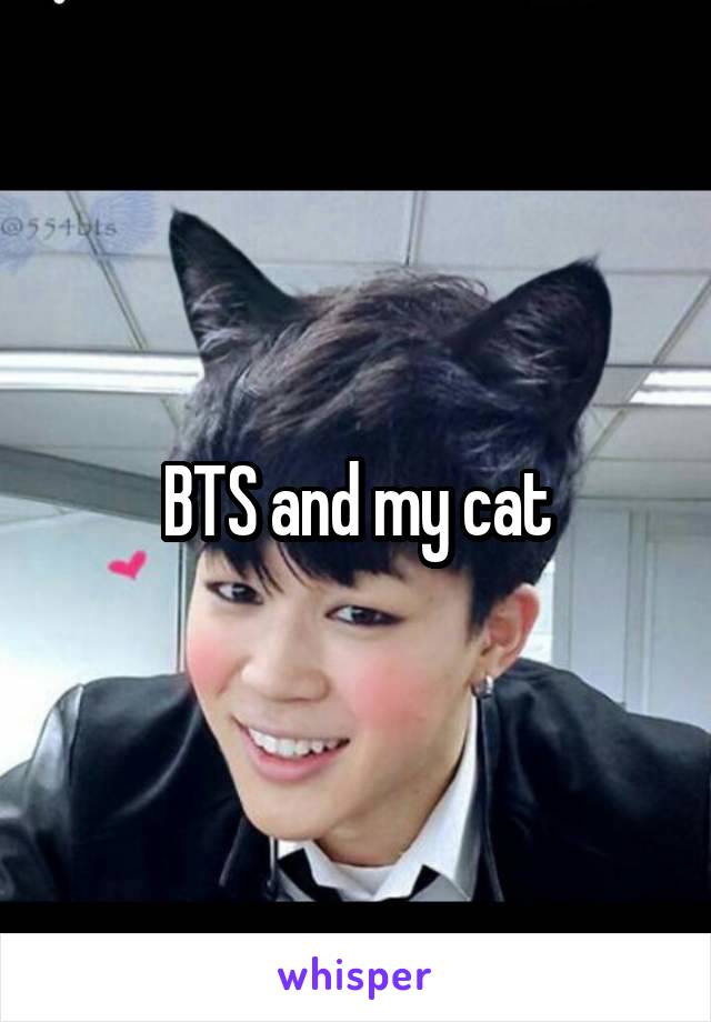 BTS and my cat