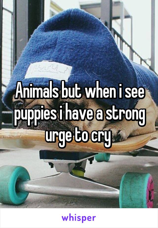 Animals but when i see puppies i have a strong urge to cry 