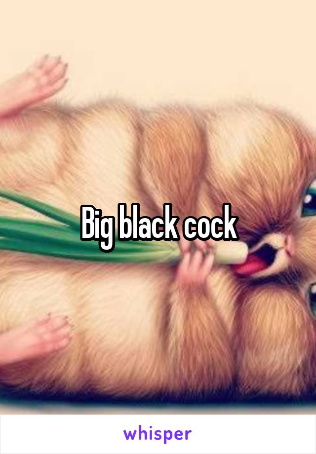 Big black cock