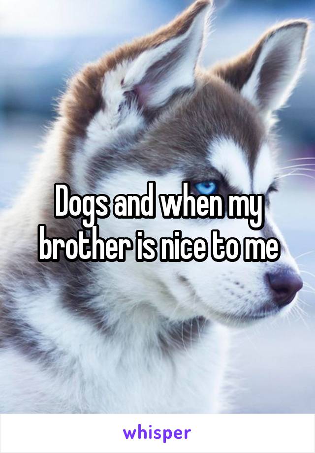 Dogs and when my brother is nice to me