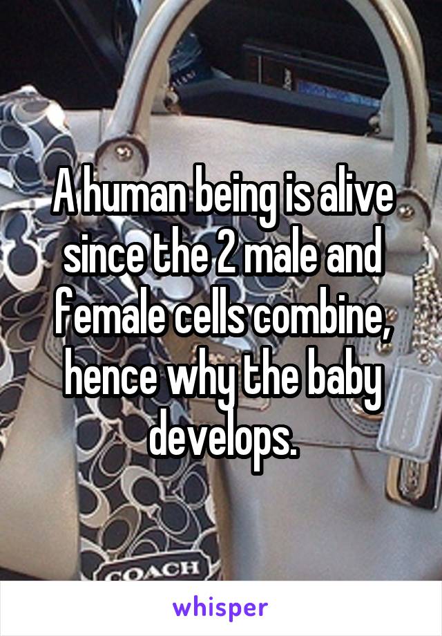 A human being is alive since the 2 male and female cells combine, hence why the baby develops.