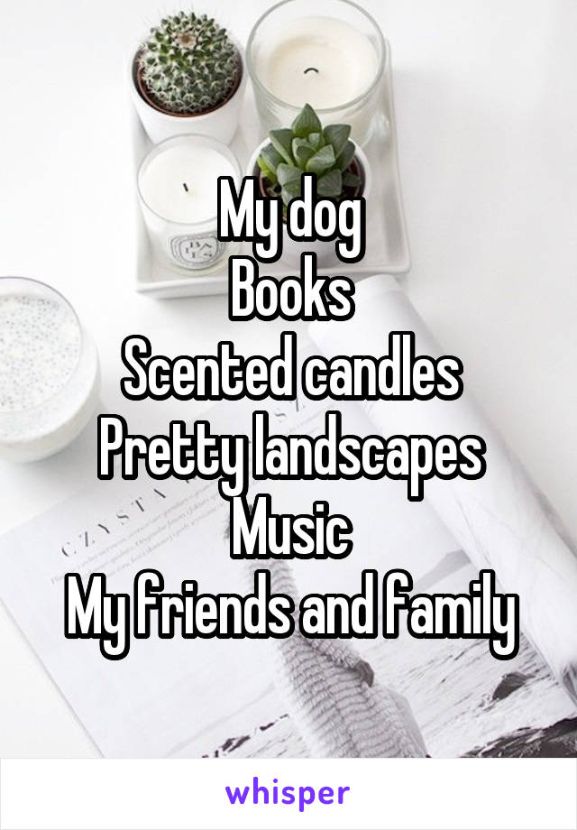 My dog
Books
Scented candles
Pretty landscapes
Music
My friends and family