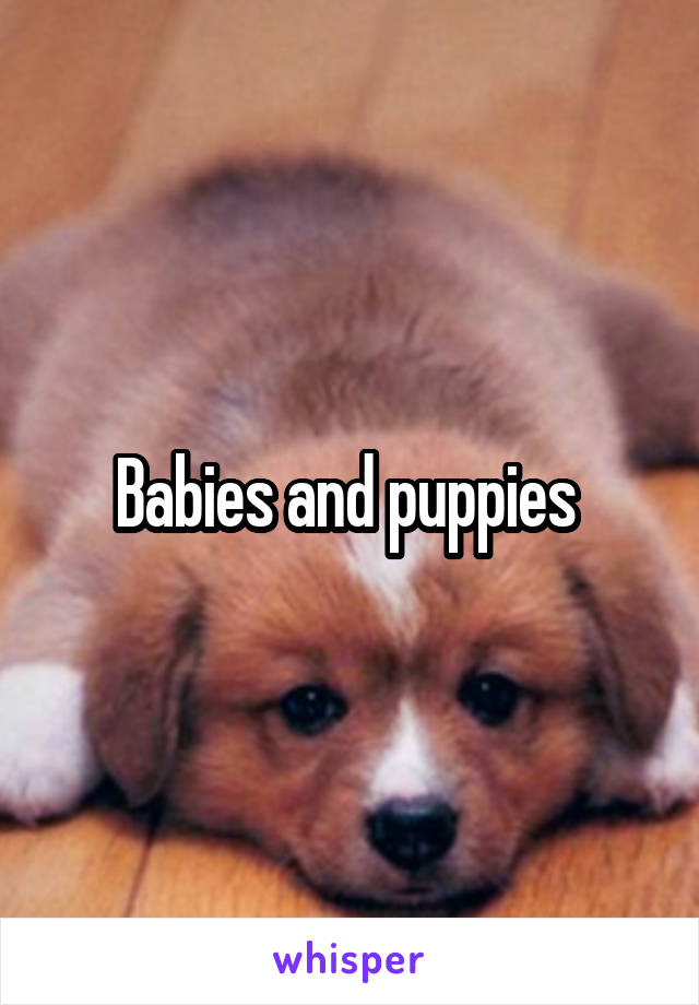 Babies and puppies 