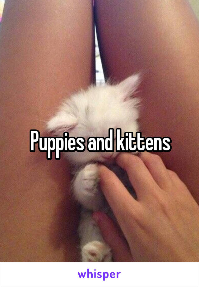 Puppies and kittens