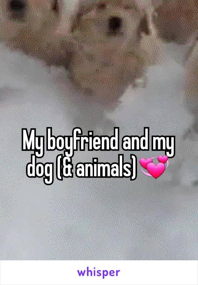 My boyfriend and my dog (& animals)💞