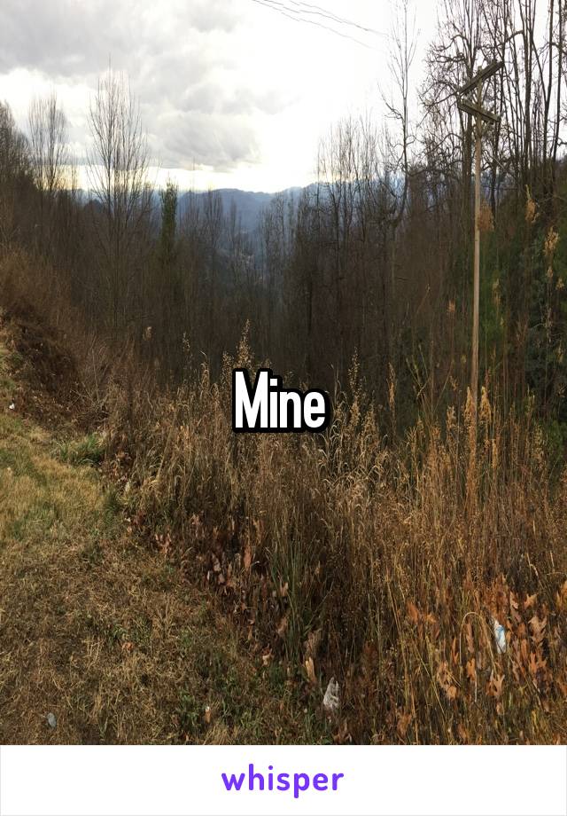 Mine 