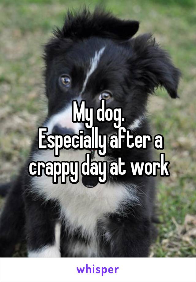 My dog.
 Especially after a crappy day at work