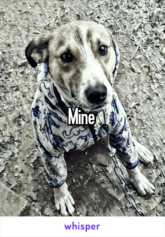 Mine 