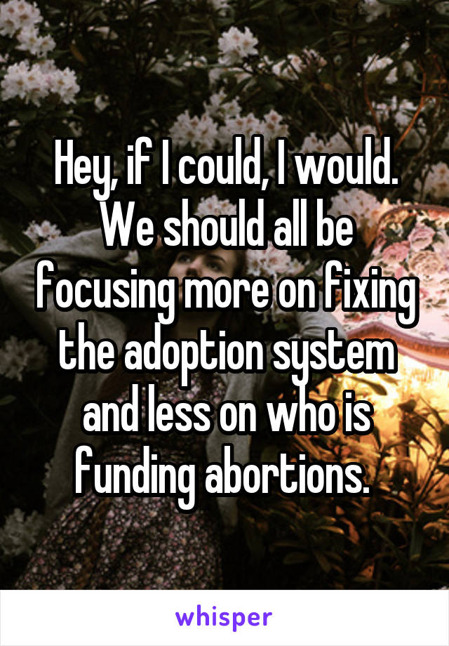 Hey, if I could, I would. We should all be focusing more on fixing the adoption system and less on who is funding abortions. 