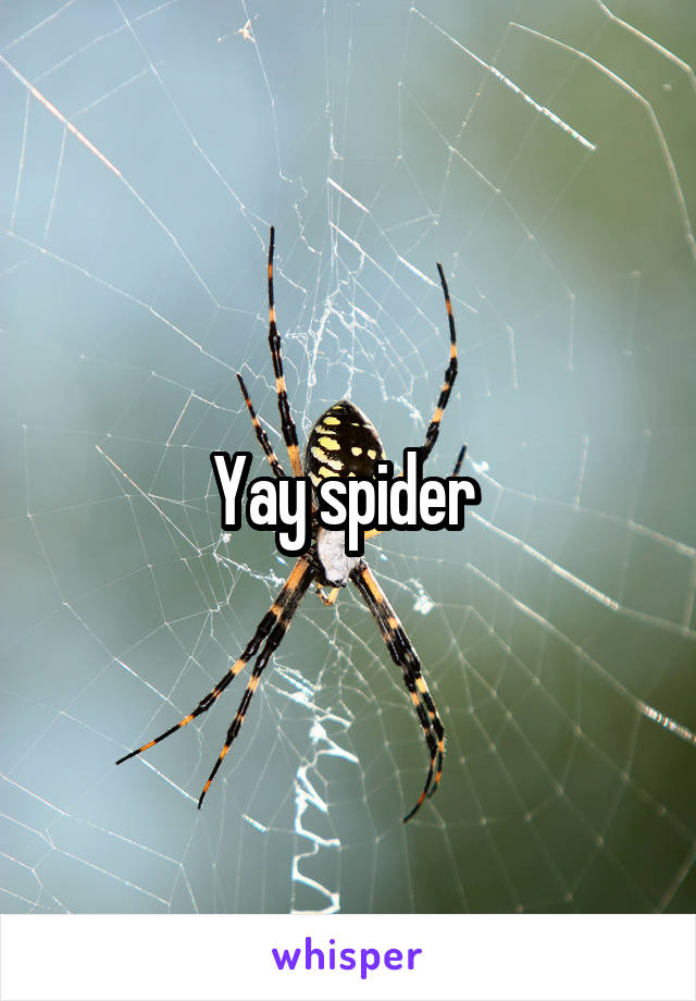 Yay spider 