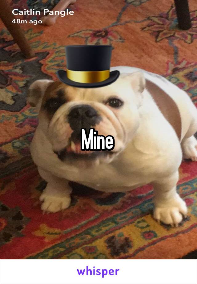 Mine 