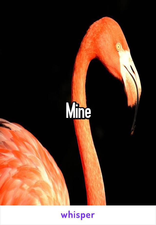 Mine