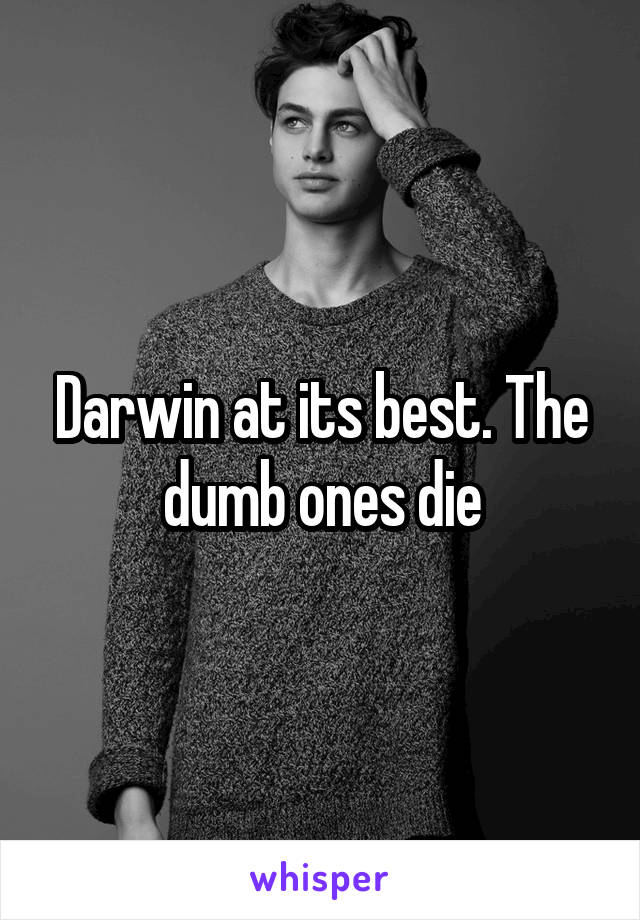 Darwin at its best. The dumb ones die