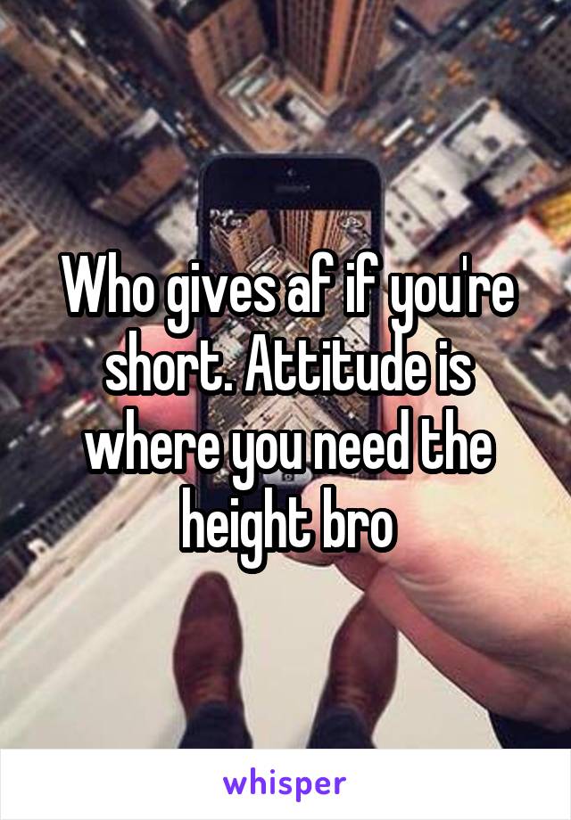 Who gives af if you're short. Attitude is where you need the height bro