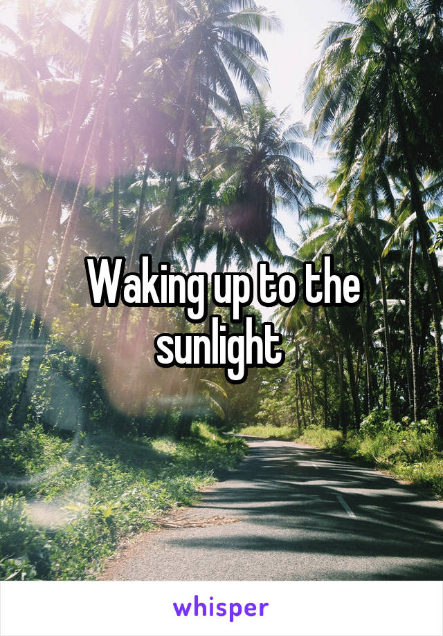 Waking up to the sunlight 