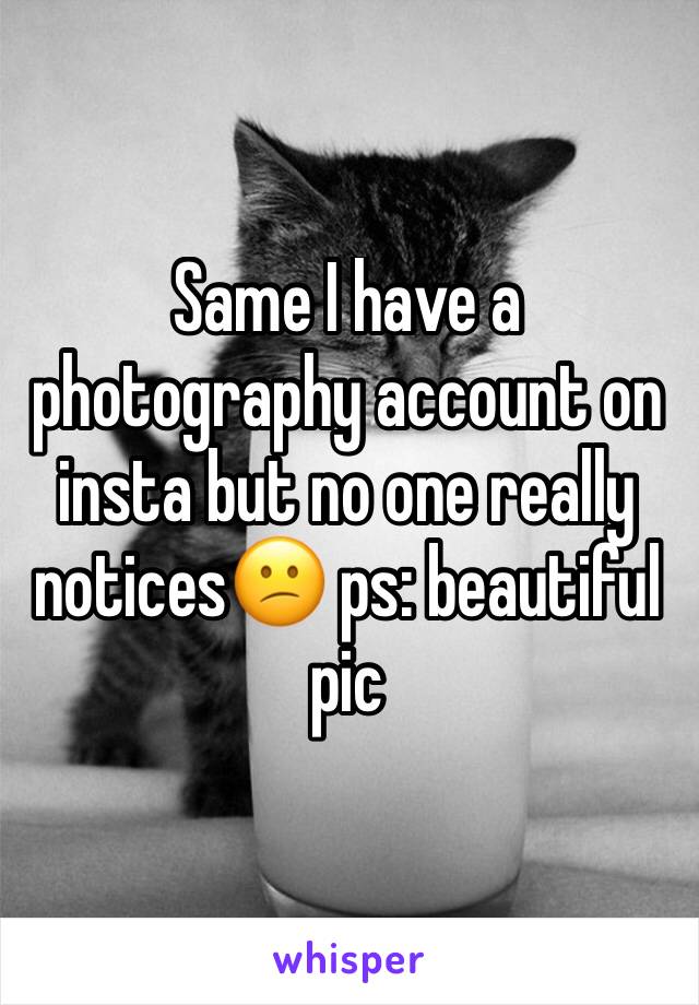 Same I have a photography account on insta but no one really notices😕 ps: beautiful pic