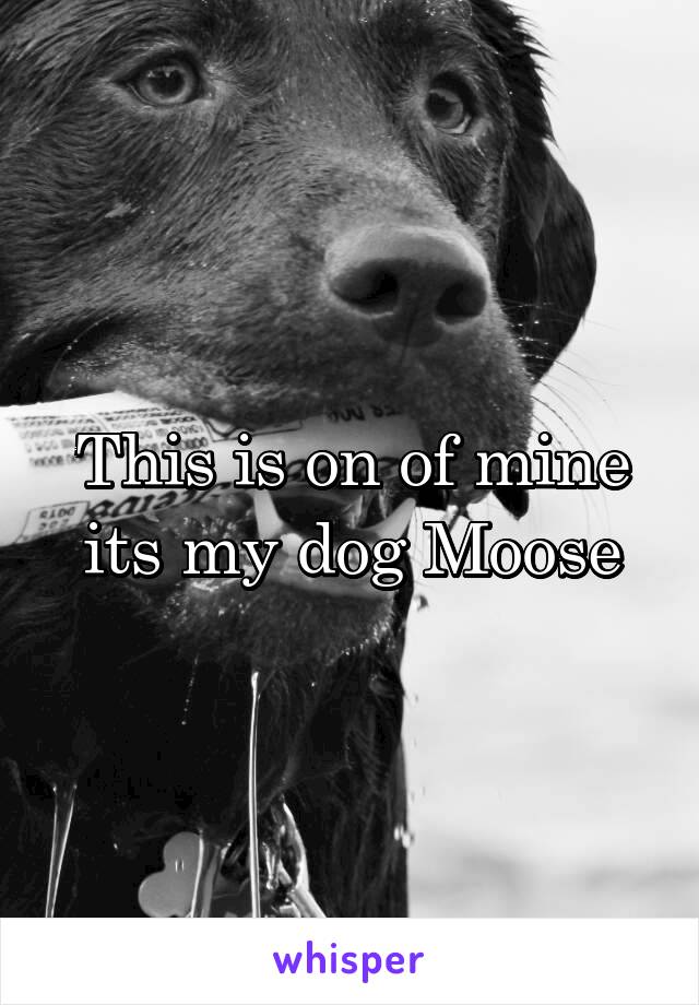 This is on of mine its my dog Moose