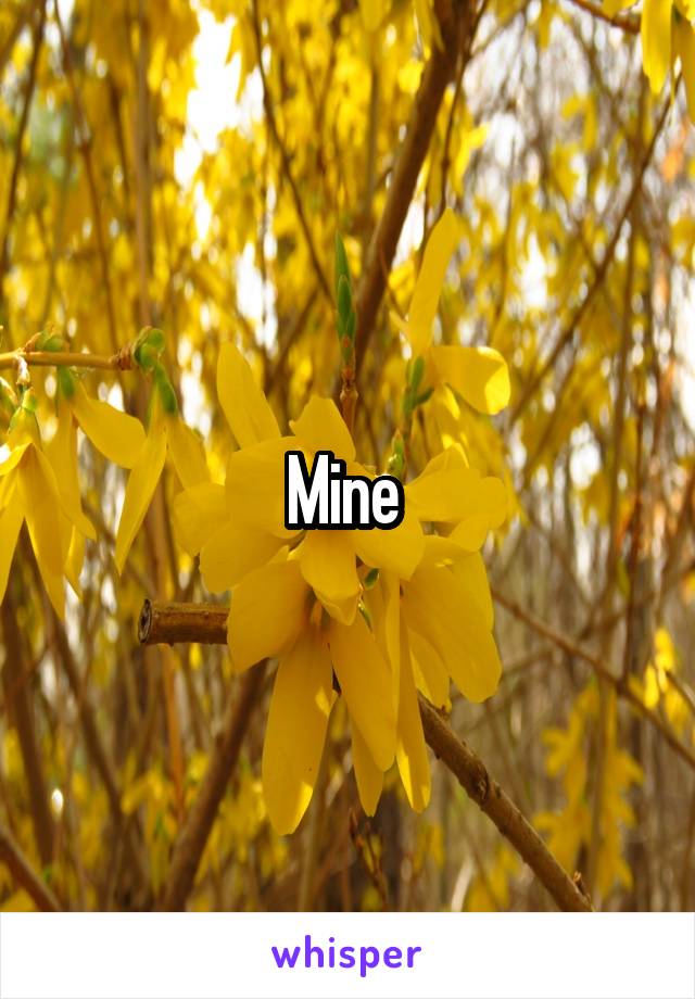 Mine 